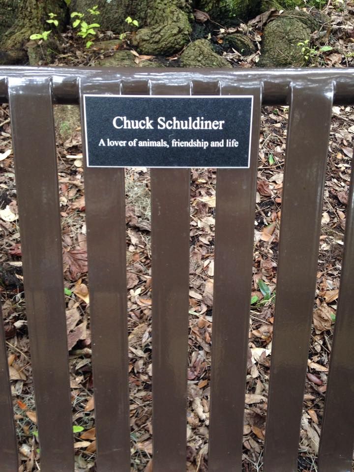bench